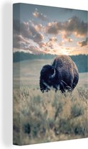 Canvas Schilderij Amerikaanse bizon in Wyoming - 40x60 cm - Wanddecoratie