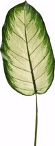 Kunstblad - Giant - topkwaliteit decoratie - 2 stuks - zijden tak - Groen - 100 cm hoog