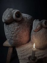 Schaap S