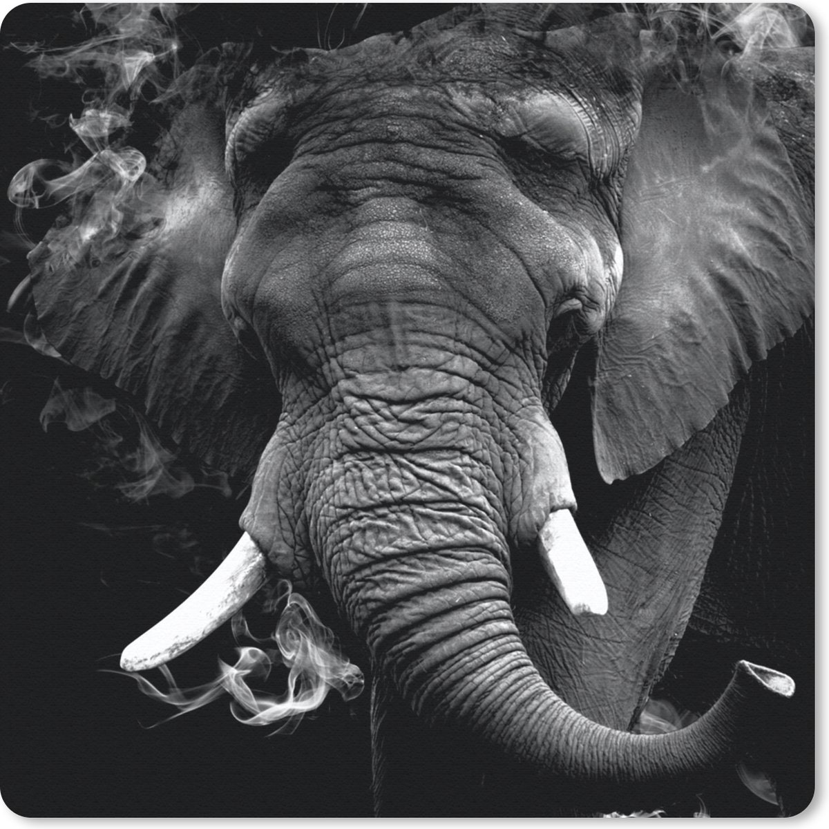 Muismat 30x30 cm - Mousepad Olifant - Rook - Tanden - Zwart - Wit - Muismatten