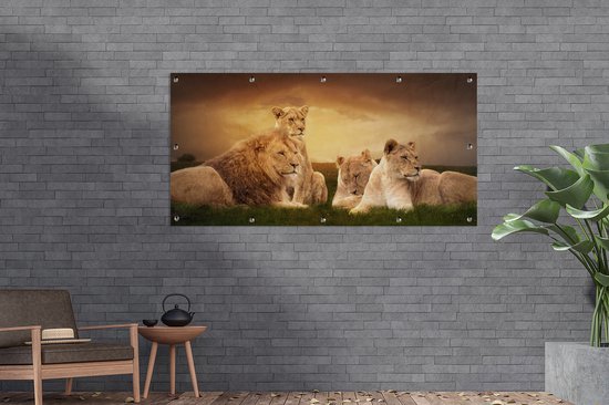 Affiche de clôture Lions - Herbe - Ciel - 200x100 cm - Toile de jardin