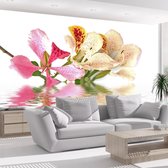 Fotobehang - Tropische bloemen - orchidee boom (bauhinia).