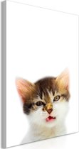 Schilderij - Vexed Cat (1 Part) Vertical.