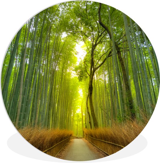 WallCircle - Wandcirkel ⌀ 90 - Pad in het Arashiyama-bamboebos in Japan - Ronde schilderijen woonkamer - Wandbord rond - Muurdecoratie cirkel - Kamer decoratie binnen - Wanddecoratie muurcirkel - Woonaccessoires
