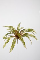 Kunsttak - Varen palm- topkwaliteit decoratie - 2 stuks - zijden tak - groen - 30 cm hoog