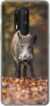 Geschikt voor OnePlus 8 Pro hoesje - Wild dier - Bos - Herfst - Siliconen Telefoonhoesje