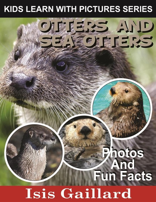 Kids Learn With Pictures 62 - Otters and Sea Otters Photos and Fun