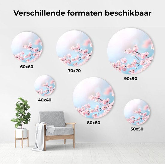 Cercles muraux ronds de différentes tailles avec image de fleurs roses, à côté d'une chaise et d'une plante.