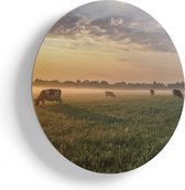 Artaza Houten Muurcirkel - Koeien In De Wei Tijdens Zonsopkomst  - Ø 65 cm - Multiplex Wandcirkel - Rond Schilderij