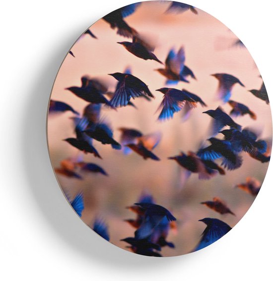 Artaza Houten Muurcirkel - Groep Vliegende Blauwe Spreeuw Vogels - Ø 40 cm - Klein - Multiplex Wandcirkel - Rond Schilderij