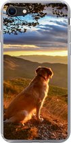 Geschikt voor iPhone SE 2020 hoesje - Een Golden Retriever kijkend naar de zonsondergang - Siliconen Telefoonhoesje