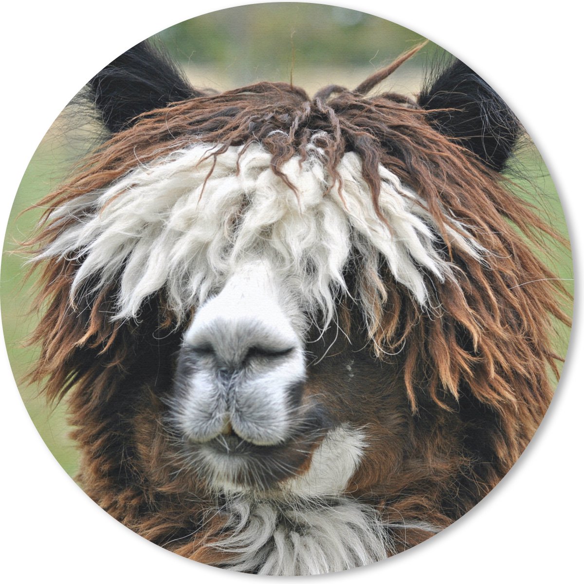 Muismat rond 40x40 cm - Mousepad Alpaca - Vacht - Bruin - Ronde muismatten