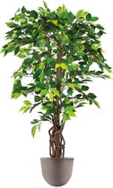 HTT - Kunstplant Ficus in Eggy taupe H130 cm
