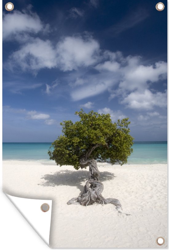 Tuindecoratie Eenzame boom staat op een strand in Aruba - 40x60 cm - Tuinposter - Tuindoek - Buitenposter