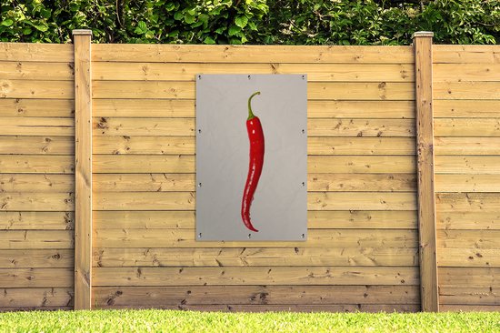 Affiche de jardin - Toile de jardin - Posters de jardin extérieur - Piment espagnol - 80x120 cm - Jardin