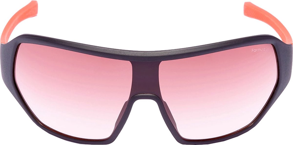 Formule 1 eyewear zonnebril - F1S1034