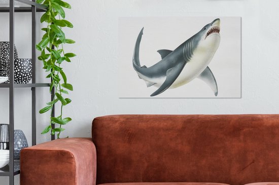 Illustration Peinture sur Toile - Requin - Wit - 60x40 cm - Décoration murale