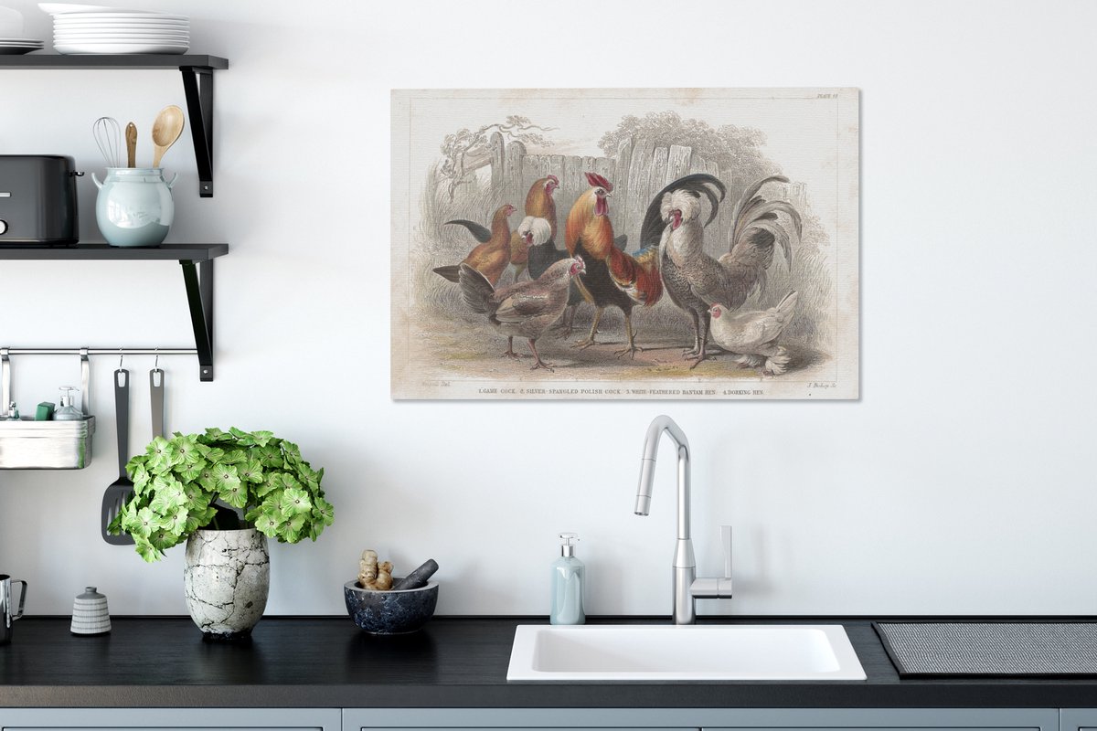 GSHRED Aquarelle Coq Et Poule Art Impressions Sur Toile Peinture Rue Mur Art Affiches Abstrait Animaux Photo Chambre Salon Decor Sans Cadre 45×45cm×2pcs