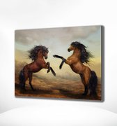 Painting Expert® Schilderen op nummer Volwassenen - Schilderen op nummer Kinderen - Twee Paarden - 40x50cm - Exclusief Lijst (24 kleurtjes)