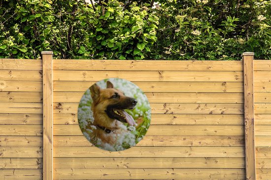 Garden Circle Herder Allemand assis entre les fleurs blanches - 90x90 cm - Affiche Ronde de Jardin - Extérieur