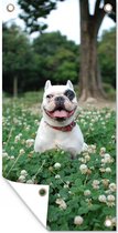 Tuinposter Dier - Klaver - Hond - 40x80 cm - Wanddecoratie Buiten - Tuinposter - Tuindoek - Schuttingposter - Tuinschilderij