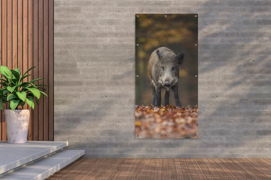 Affiche de clôture Animal sauvage - Forêt - Automne - 100x200 cm - Toile de jardin