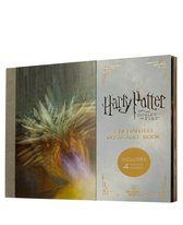 Harry Potter- Harry Potter and the Goblet of Fire Enchanted Postcard Book