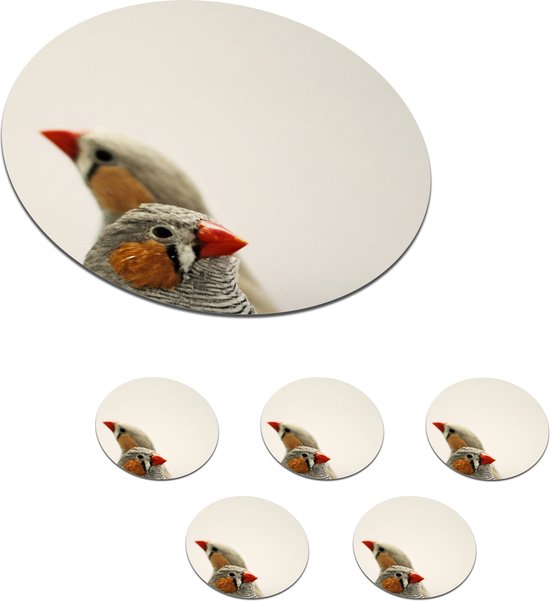 Onderzetters voor glazen - Rond - Een paar zebravinken op een witte achtergrond - 10x10 cm - Glasonderzetters - 6 stuks
