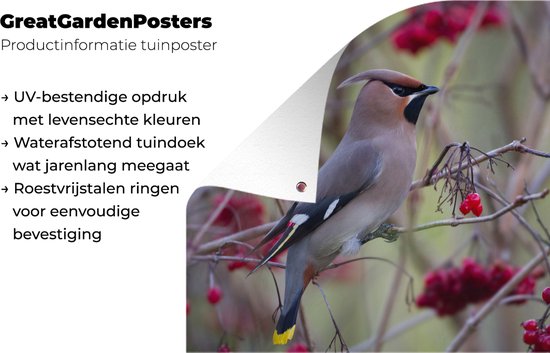 Muurdecoratie buiten Pestvogel in een bessenstruik - 160x120 cm - Tuindoek - Buitenposter
