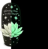 Duo Glowing Star in the Dark® ↨ 13cm - 2 stuks - planten - binnenplanten - buitenplanten - tuinplanten - potplanten - hangplanten - plantenbak - bomen - plantenspuit