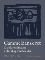 Gammeldansk ret. Dansk rets historie i oldtid og middelalder