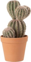 Cactus - Cactus | kunststof | groen | 14x13.5x (h)26 cm