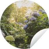 Tuincirkel Hortensia tuin - 90x90 cm - Ronde Tuinposter - Buiten