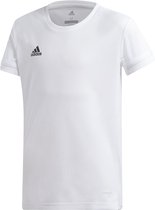 adidas Team 19 Dames Shirt