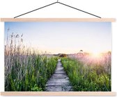 Sweet Living Poster - Riet En Steiger - 0 X 0 Cm - Multicolor