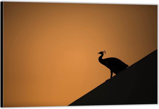 Dibond –Silhouette van Pauw– 40x30 Foto op Aluminium (Met Ophangsysteem)