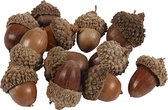 Creativ Company Eikels – Natuurlijke Decoratie – 15-20 mm – 12 Stuks – Naturel