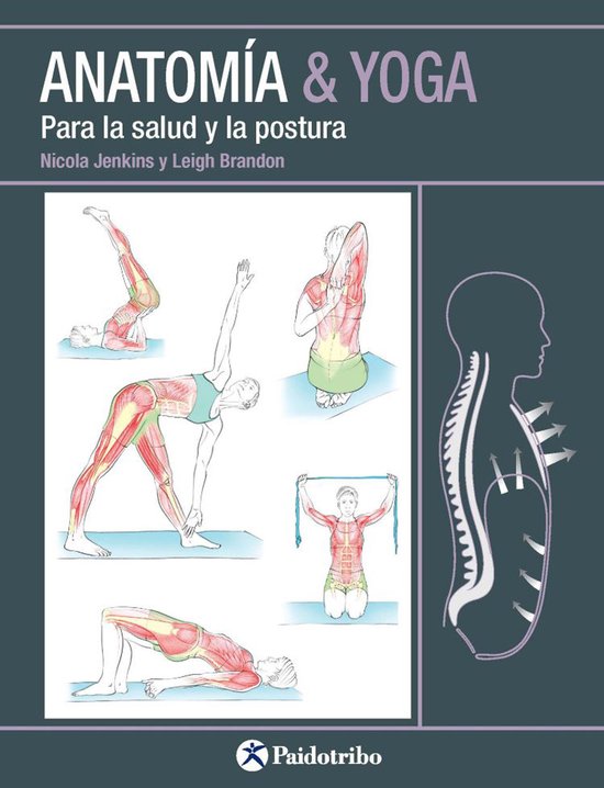 Yoga - Anatomía & Yoga - cover
