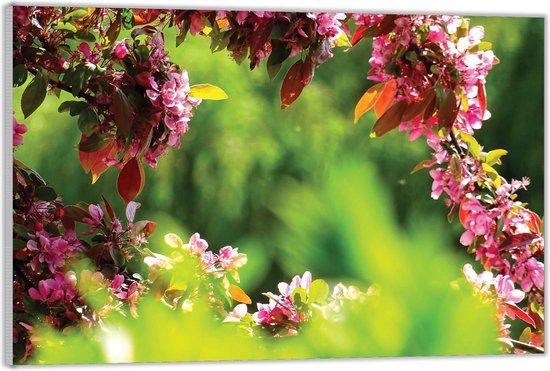 Acrylglas –Tak met Roze Bloemen -40x30 (Met ophang)