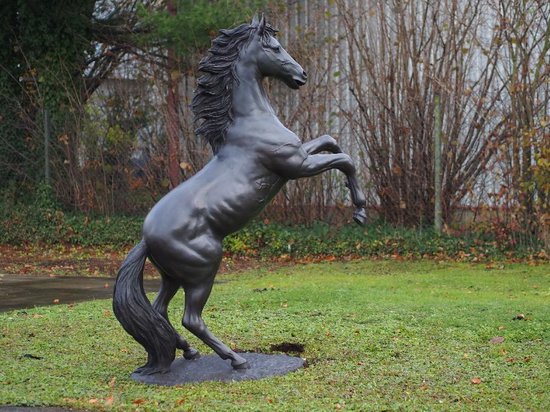 Tuinbeeld - bronzen beeld - Steigerend paard - 227 cm hoog | bol.com