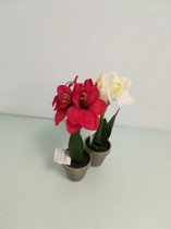 2 kunstplantjes - rood en wit