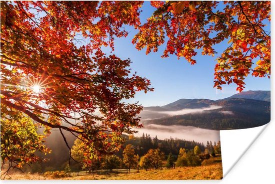 Poster Herfst - Boom - Licht - 30x20 cm