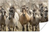 Poster Paarden - Zand - Kudde - 180x120 cm XXL