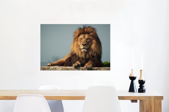 Poster Lion au repos sur un rocher 90x60 cm - Tirage photo sur