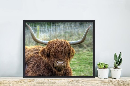 Fotolijst incl. Poster - Schotse Hooglander - Koeienkop - Hoorns - 50x40 cm - Posterlijst