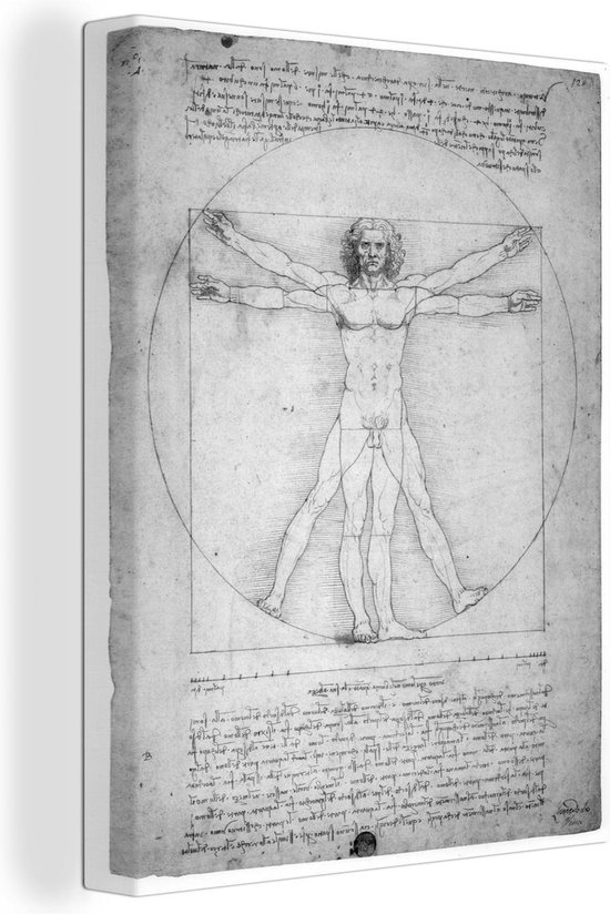 Canvas Schilderij Vitruviusman - Leonardo da Vinci - zwart wit - 60x80 cm - Wanddecoratie