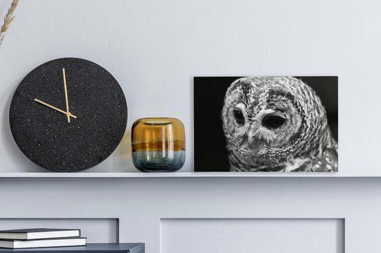 Peinture sur toile Chouette hulotte sur fond noir - noir et blanc - 30x20 cm - Décoration murale