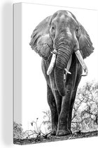 Canvas Schilderij Etende olifant in zwart-wit - zwart wit - 60x80 cm - Wanddecoratie