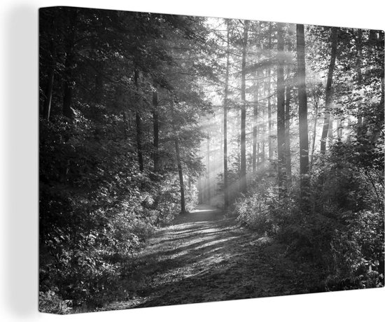 Canvas Schilderij Weg door een mistig bos - zwart wit - 90x60 cm - Wanddecoratie
