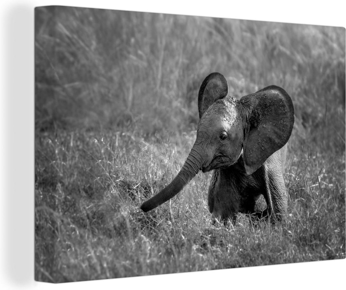 Canvas Schilderij Baby olifant in het gras - zwart wit - 60x40 cm - Wanddecoratie